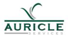 Auricle Services Logo2